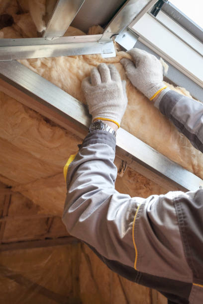 Best Insulation Installation Services in Burton, OH