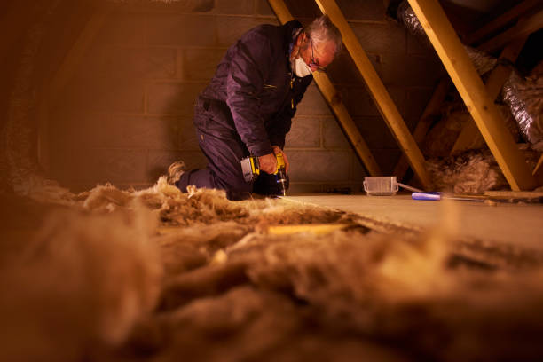 Best Insulation Installation Services in Burton, OH